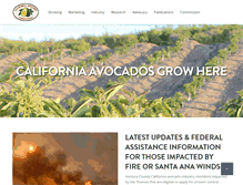 Tablet Screenshot of californiaavocadogrowers.com